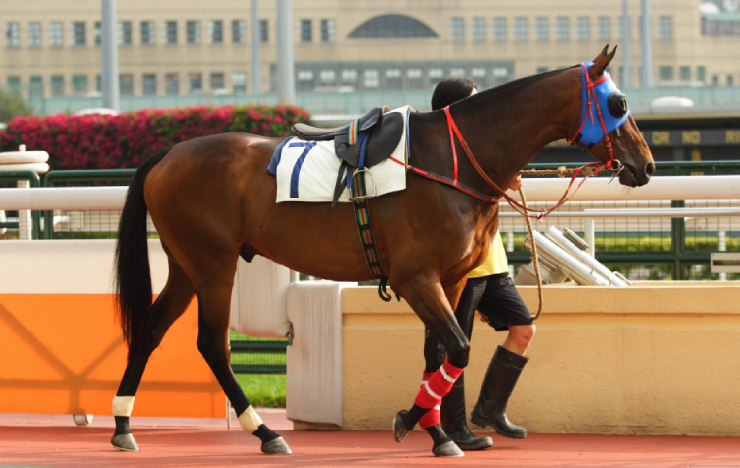 Sau những cuộc đua là bí mật hậu trường không phải ai cũng biết