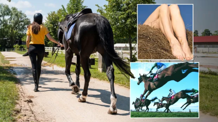 Chăm sóc ngựa không phải công việc dễ dàng với phụ nữ