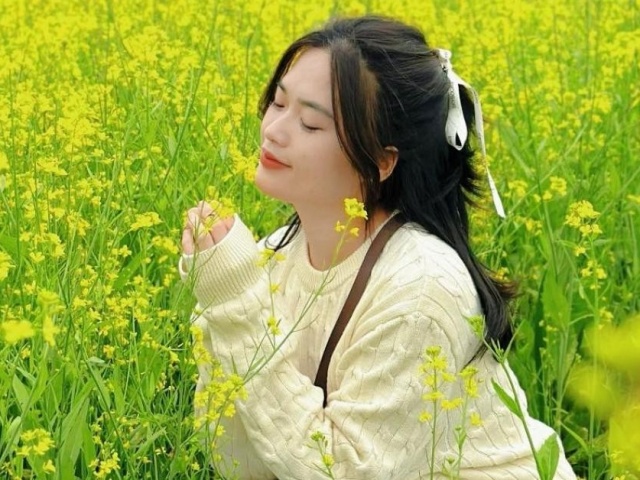 Mộc Châu rực rỡ sắc vàng cải, níu chân du khách sau mùa mận trắng