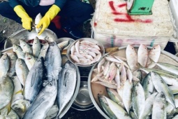 3 loại cá "bẩn nhất chợ", có rẻ đến mấy cũng không nên mua, vừa không ngon vừa gây họa