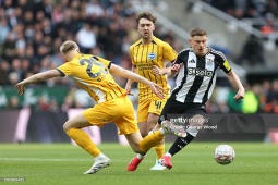 Bóng đá - Kết quả bóng đá Newcastle - Brighton: Điên rồ 2 thẻ đỏ &amp; bàn thắng &quot;vàng&quot; phút 114 (FA Cup)