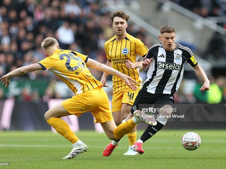 Kết quả bóng đá Newcastle - Brighton: Đôi công hấp dẫn (FA Cup)