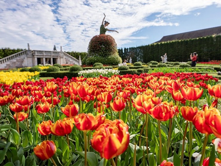 Bà Nà đẹp như chốn thần tiên vào mùa săn mây