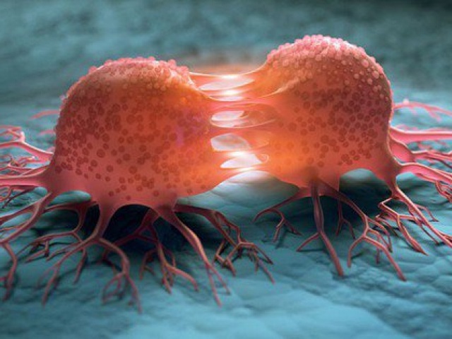 Mỹ: Xác định hợp chất tự nhiên ngăn chặn được ung thư