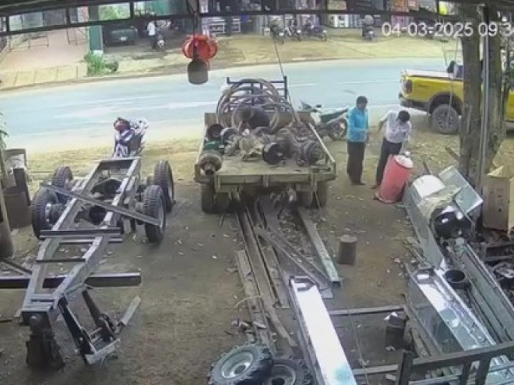 Xôn xao câu chuyện “lòng tham“ của người đàn ông đi xe con và 2 con cá bị rơi