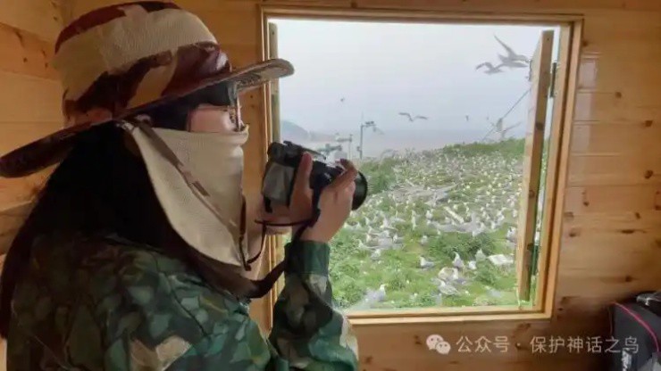 Ảnh: Tài khoản Wechat Bảo vệ loài chim thần thoại