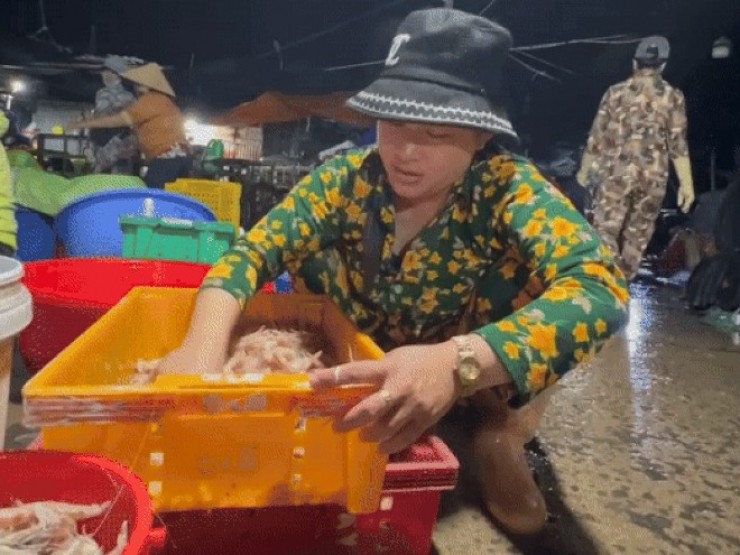 Tảo tần mưu sinh nơi cảng cá