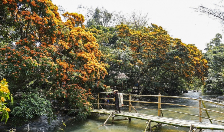 Cảnh sắc mộng mơ hoa trang bên suối Tà Má - 7