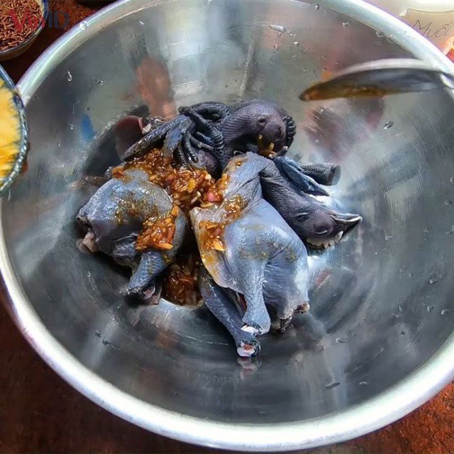 Sơ chế gà ác sạch sẽ và ướp gia vị.