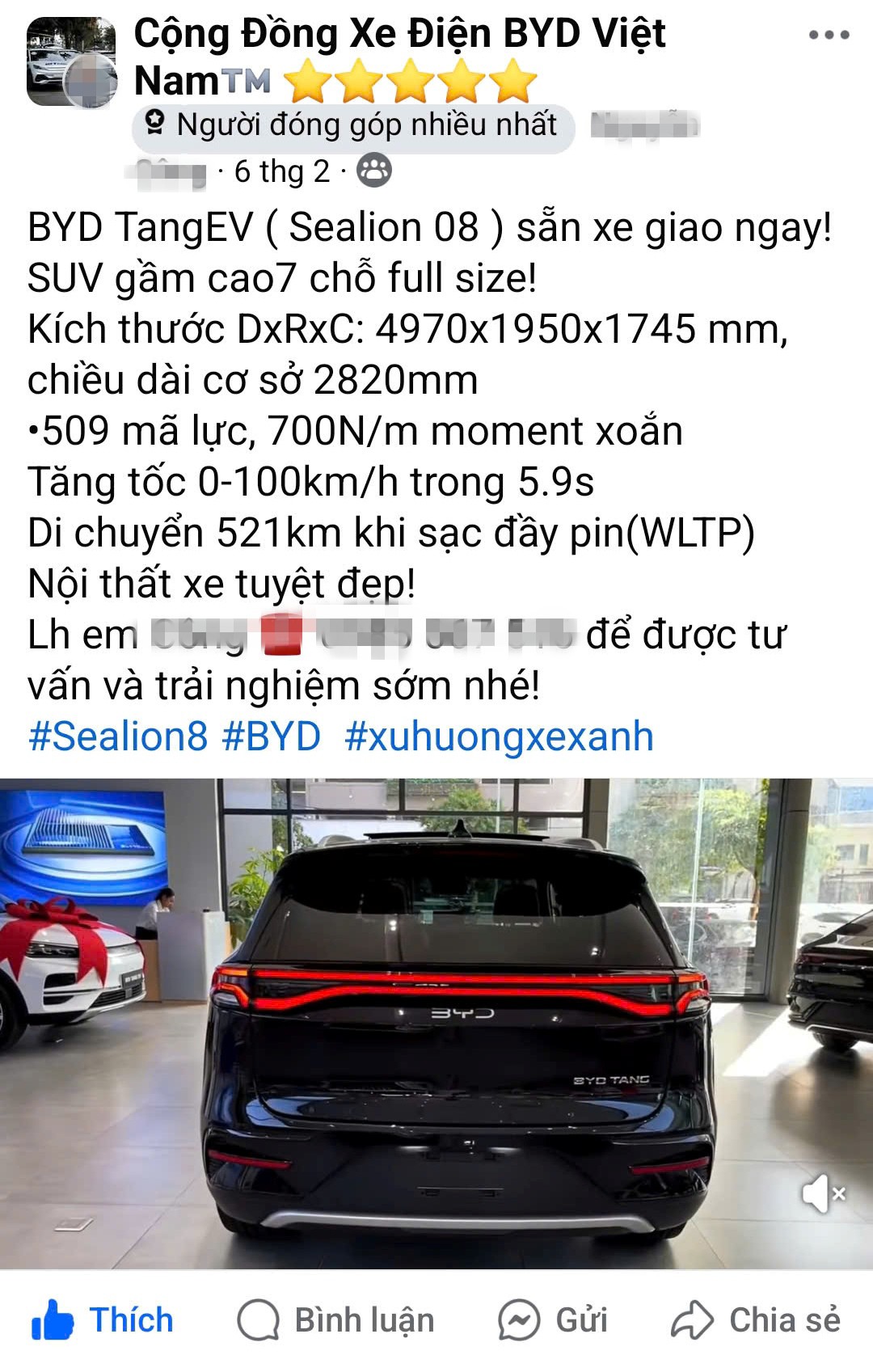 BYD Tang đổi tên gì khi có mặt tại Việt Nam - 1