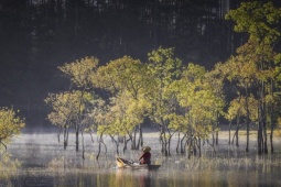 Bình minh Suối Tía 'như cổ tích'