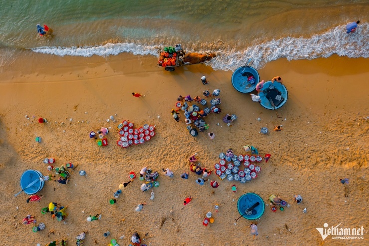 Bỏ túi hàng chục triệu đồng sau một đêm bội thu cá cơm - 2