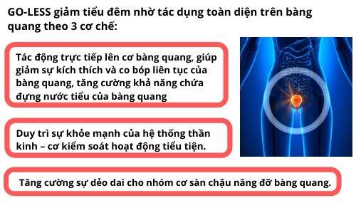 Cơ chế tác động toàn diện của nguyên liệu GO-LESS gồm chiết xuất hạt bí đỏ PEPO và mầm đậu nành.