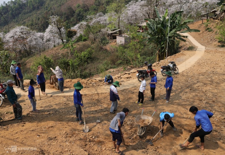 Hoa ban nở trắng bản Điện Biên - 10