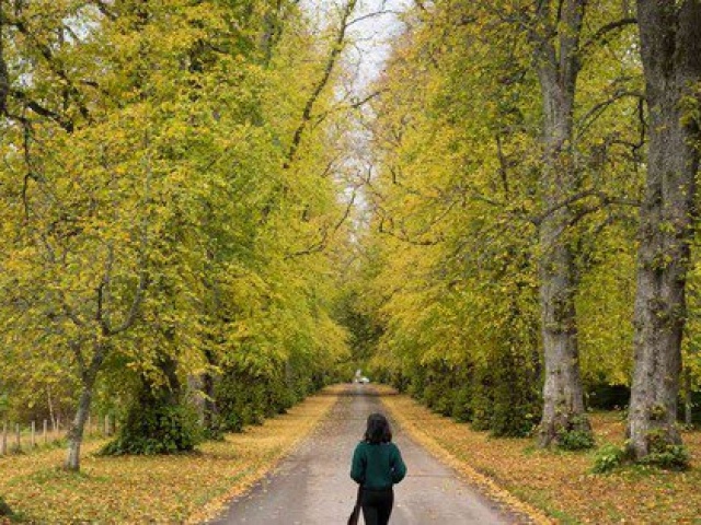 Không mấy người biết nằm ngay sau khi ăn cực kỳ nguy hiểm cho sức khoẻ