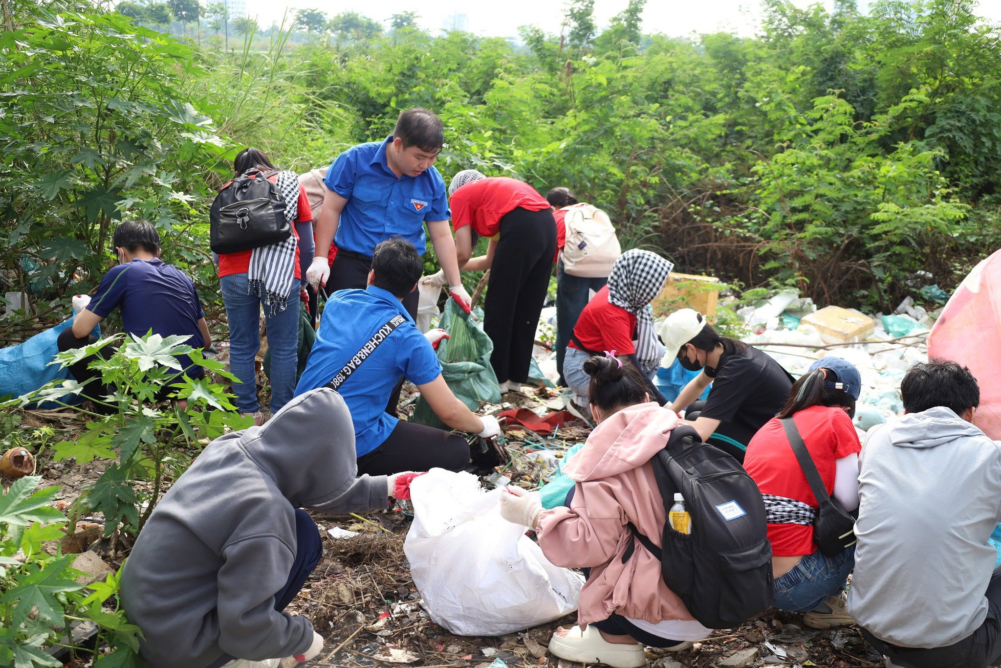 Phong trào đã thu hút rất nhiều tình nguyện viên tham gia.