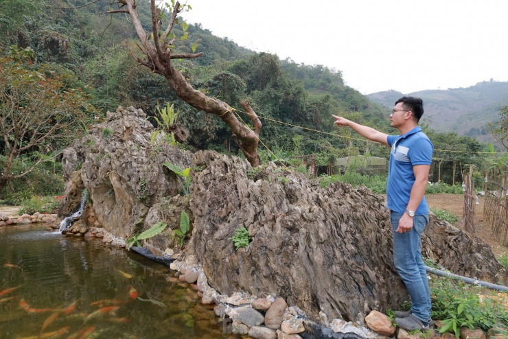 Chiêm ngưỡng khối đá giống gốc cây khổng lồ hóa thạch, được trả giá đến 18 tỷ đồng - 2