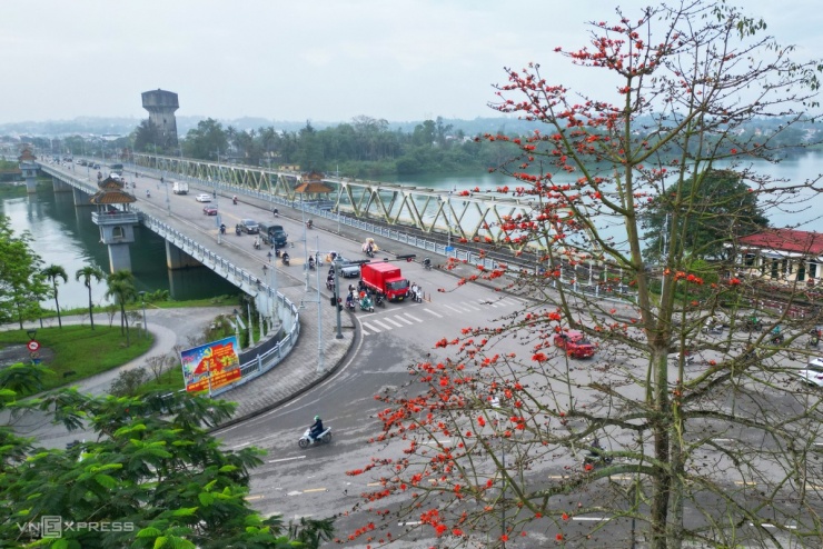 Giữa tháng 3, nhiều cây gạo nằm trên đường Lê Duẩn, quận Phú Xuân nở đỏ rực góc phố, gây thích thú cho người dân địa phương và du khách.