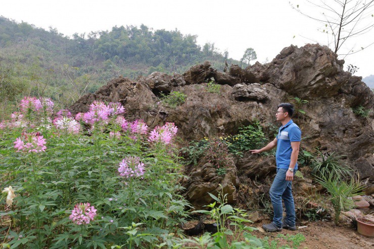 Chiêm ngưỡng khối đá giống gốc cây khổng lồ hóa thạch, được trả giá đến 18 tỷ đồng - 3