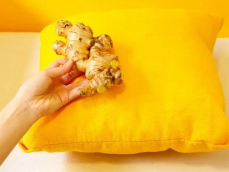 Công dụng bất ngờ khi đặt gừng cạnh gối ngủ
