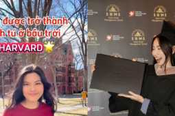 Thực hư vụ Á hậu Lê Phương Thảo đậu Harvard, Hoa hậu Thùy Tiên cũng bị réo tên