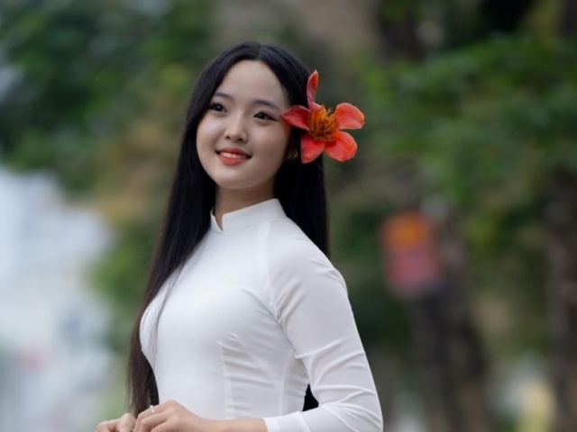 Du lịch - Ngắm nhìn vẻ đẹp hoa gạo đỏ rực xứ Huế