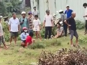 Tin tức trong ngày - Xử phạt người bị trâu húc khi đi chích điện bắt ếch ở Bình Chánh