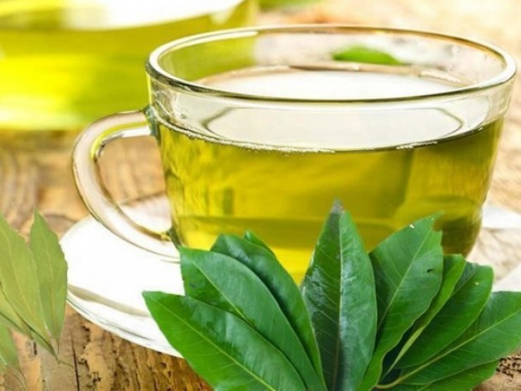 Men gan tăng gấp nhiều lần vì uống lá xạ đen, lá vối để giải độc gan