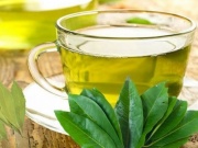 Sức khỏe đời sống - Men gan tăng gấp nhiều lần vì uống lá xạ đen, lá vối để giải độc gan