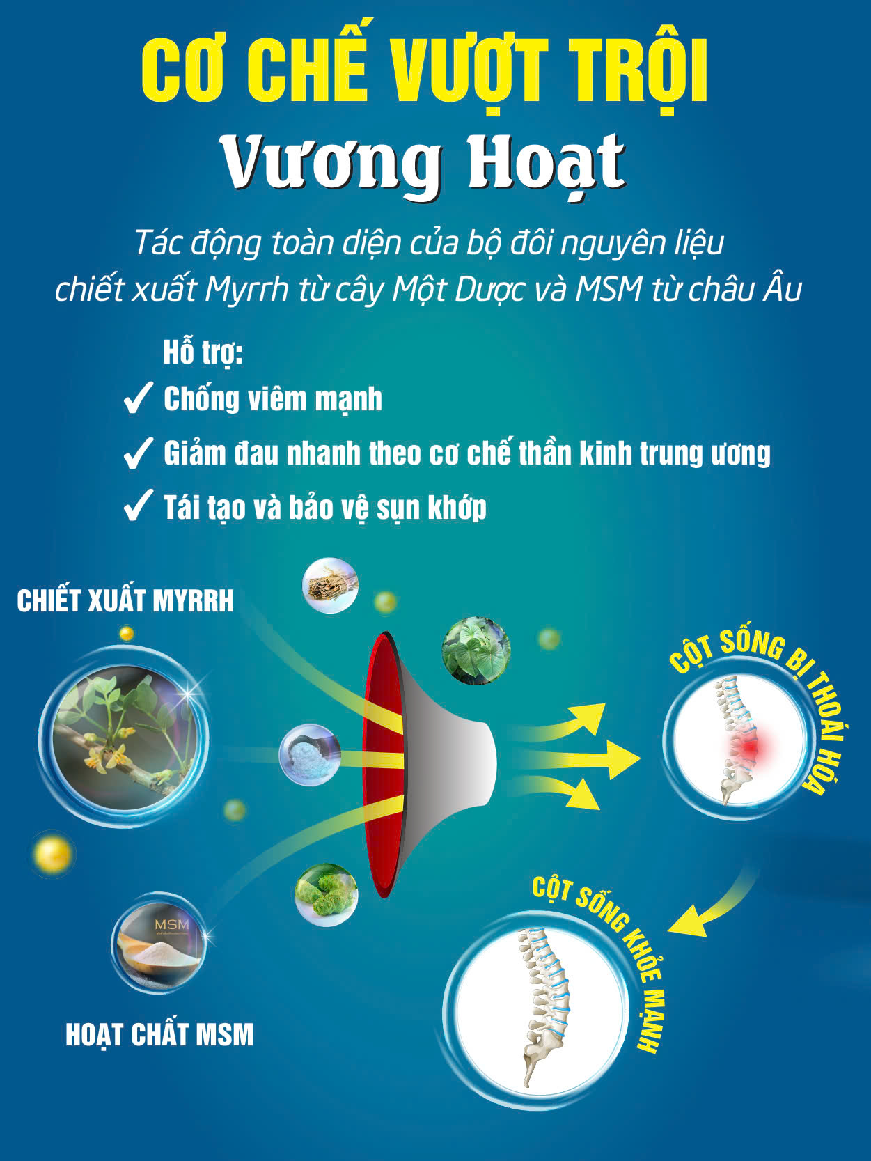 Sự thật về hiệu quả của Vương Hoạt với người bị đau lưng, đau mỏi cổ vai gáy - 3