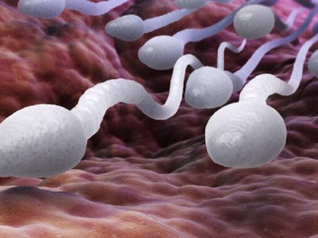 Sự thật bất ngờ: Đàn ông có tinh trùng khỏe mạnh sống thọ hơn