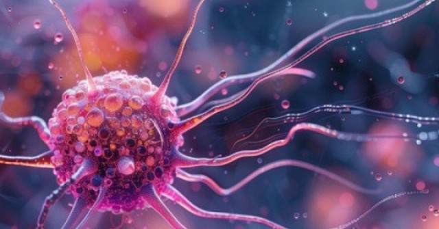 Số đo này thêm 11 cm, nguy cơ nhiều loại ung thư tăng 25%