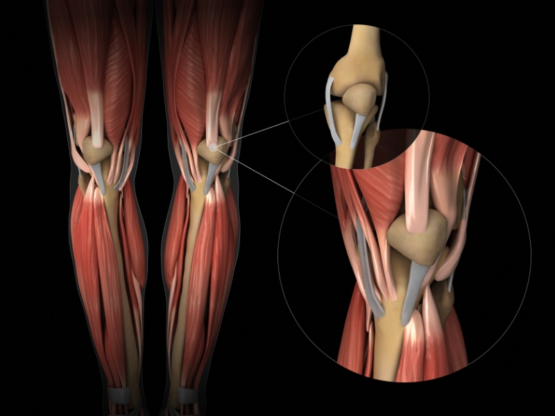 Glucosamine và Chondroitin: Bộ đôi “vàng” cho khớp khỏe mạnh - 1