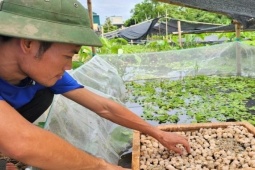 Khởi nghiệp từ 13 triệu đồng nuôi con “sợ rét”, 8x Ninh Bình thu lãi nửa tỷ đồng/năm