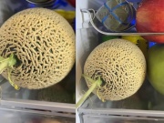 Thị trường - Tiêu dùng - Sốc với giá của quả dưa lưới khiến nhiều người khóc thét