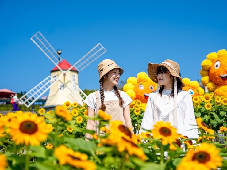 Choáng ngợp với “rừng hoa hướng dương” trên đỉnh Bà Nà