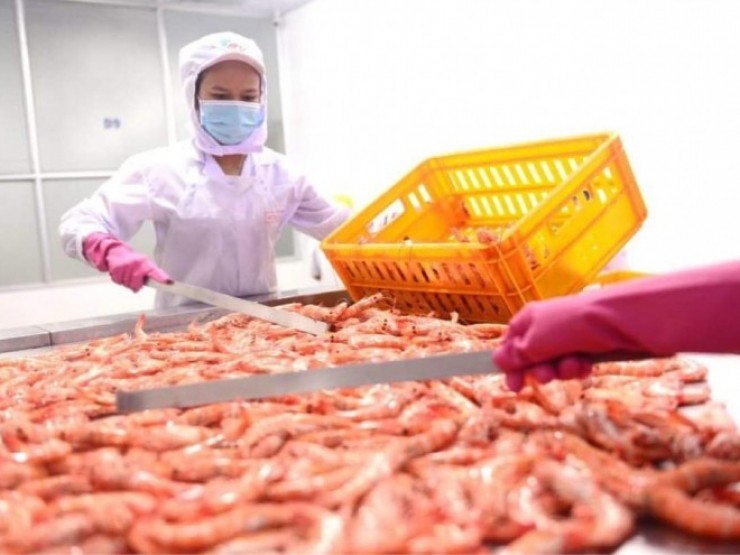 Các chính sách mới về lao động, việc làm hiệu lực từ tháng 4-2025