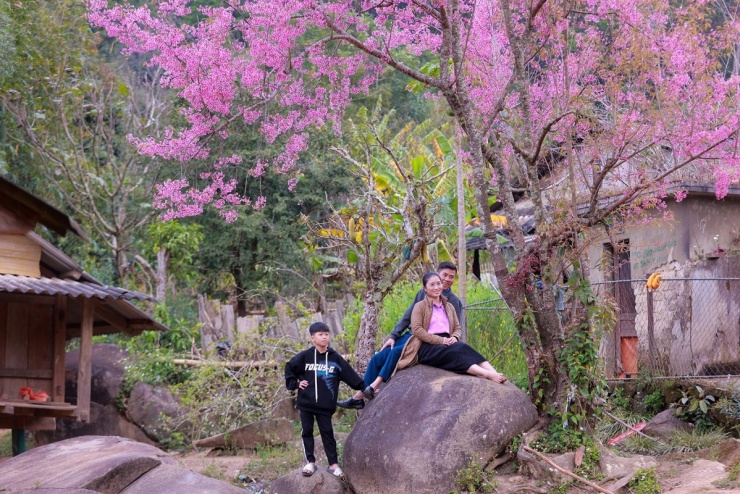 Mùa hoa anh đào nở là dịp lý tưởng để người dân và du khách đến ngắm hoa và ghi lại những tấm hình lưu niệm. (Ảnh: Sách Nguyễn).