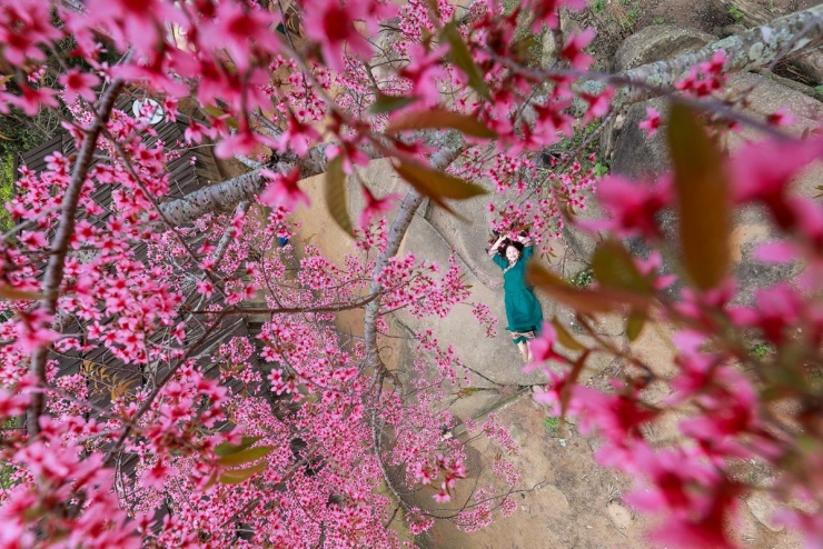 Du khách "check in"