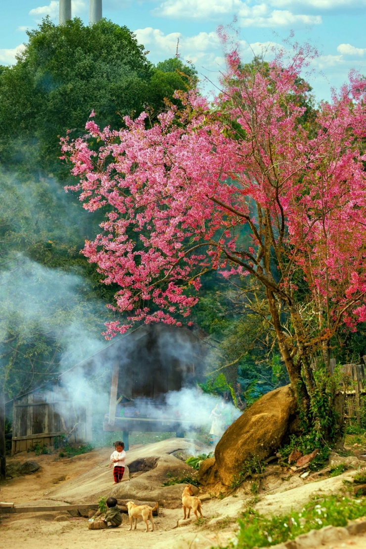 Một khung cảnh như cổ tích được ghi lại. (Ảnh: Sách Nguyễn). 