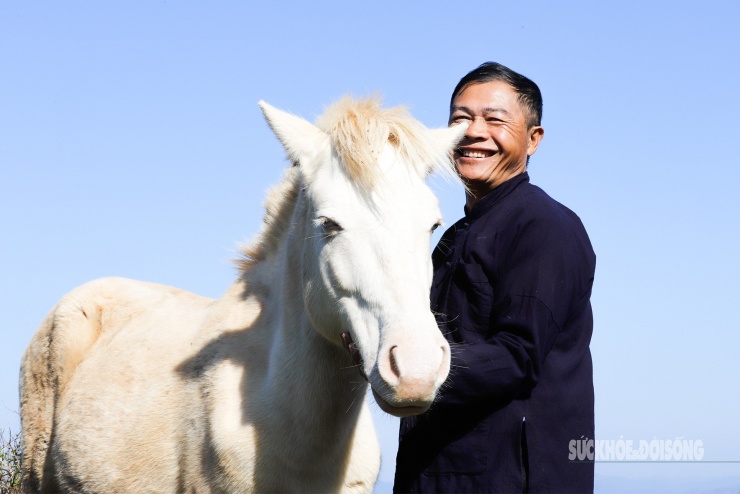 "Ngựa bạch chính là "vàng trắng" của chúng tôi. Nhưng quý nhất là phải giữ được gen thuần chủng", ông Mao chia sẻ.