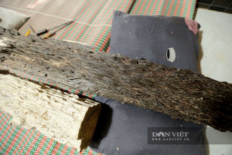 Theo các chuyên gia về trầm hương tại Phúc Trạch, khối trầm hương tốc bông "trăm năm có một" này là một trong những dạng trầm hương tự nhiên quý hiếm nhất, hình thành trong cây dó bầu sau hàng chục, thậm chí hàng trăm năm tích tụ nhựa.