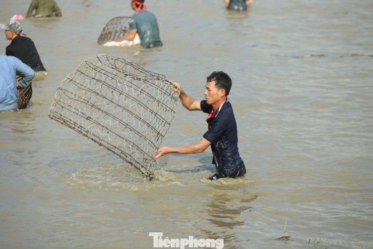Nhiều người mang theo cả bu gà (lồng nhốt gà) xuống ao để nơm cá. (Ảnh: Rạng Đông).