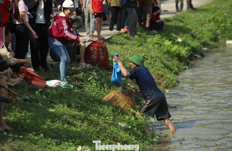 Cá sau đó được đưa đến Ban tổ chức cân và ghi lại số lượng để cuối buổi sẽ trao giải thưởng cho các nơm thủ. (Ảnh: Rạng Đông).