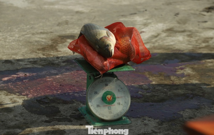 Lễ hội Nơm cá Ao Sen mang lại không khí vui tươi, góp phần tăng tính đoàn kết cho người dân trên địa bàn dịp đầu năm mới. (Ảnh: Rạng Đông).