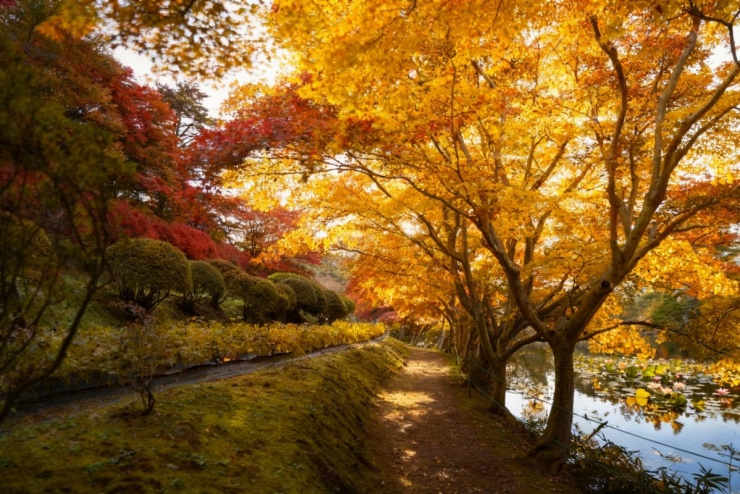 Blogger Phan Thế Anh 'choáng ngợp' trước cảnh đẹp như tranh ở Fukushima - 1