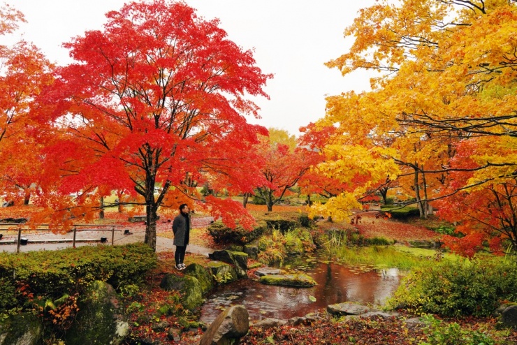 Blogger Phan Thế Anh 'choáng ngợp' trước cảnh đẹp như tranh ở Fukushima - 2