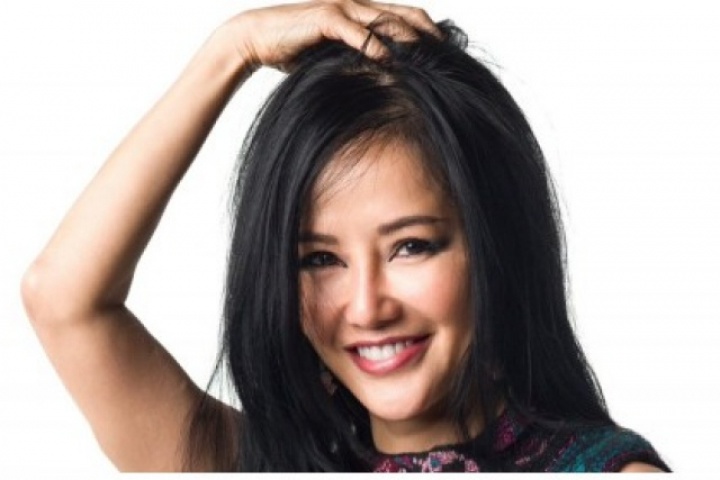 Sao Việt 1/1: Diva Hồng Nhung rạng ngời đón năm mới 2026