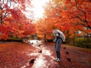 Blogger Phan Thế Anh 'choáng ngợp' trước cảnh đẹp như tranh ở Fukushima