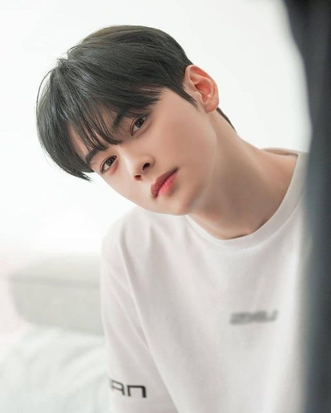 Cha Eun Woo, mỹ nam nổi danh vì đẹp của Hàn, từng được KingChoice bầu chọn "Most Handsome Man in the World" năm 2022. Gương mặt được đánh giá gần như hoàn hảo nhưng anh vẫn bị chê là 'nữ tính', 'visual chuẩn mực, sách giáo khoa'...